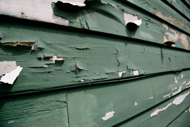 Best Custom Trim and Detailing for Siding  in Orwell, OH