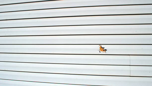 Best Brick Veneer Siding  in Orwell, OH